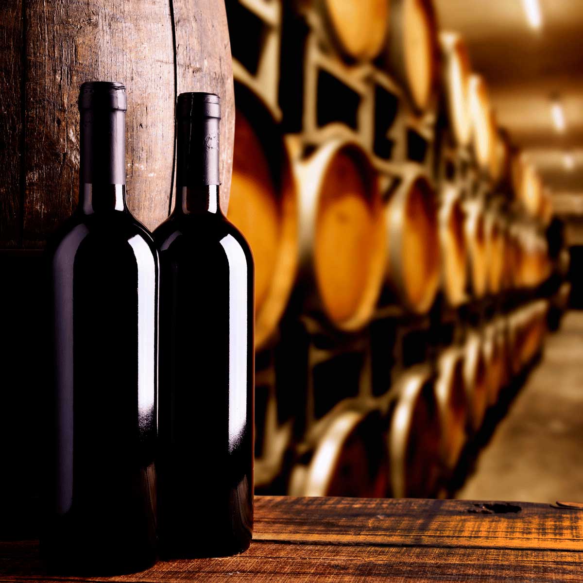 Visita y conoce las bodegas centenarias y los mejores vinos de La Rioja