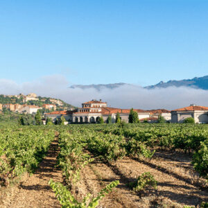 Read more about the article What to see in La Rioja in Summer?