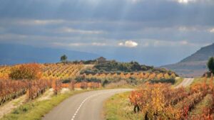Read more about the article What to see in La Rioja?