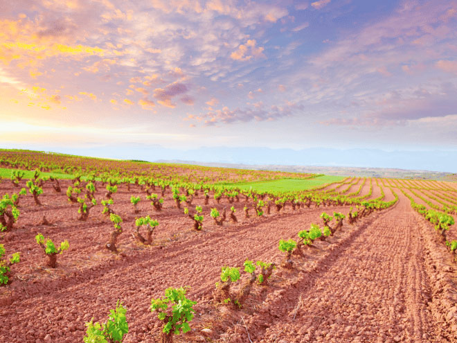 turismo en la rioja alta para familia, amigos o pareja