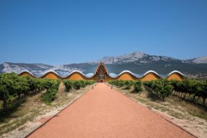 Lee más sobre el artículo Descubre las Bodegas en La Rioja