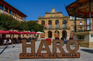 Read more about the article What to see in Haro, the undisputed capital of Rioja wine