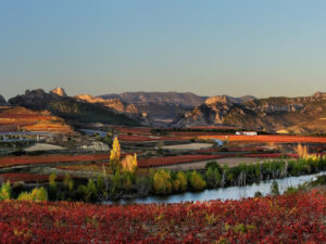 Lee más sobre el artículo La Rioja, destino emergente para el verano 2025